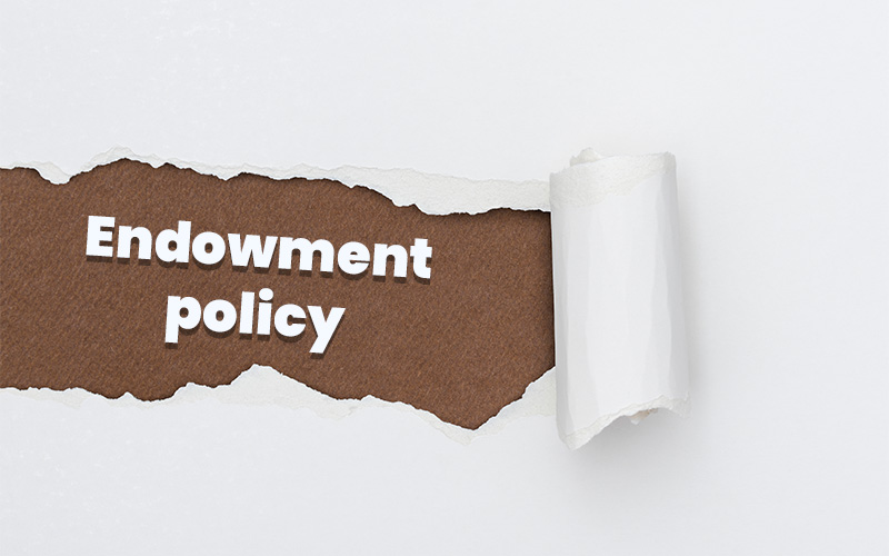 Torn white paper revealing brown background with bold white text reading “Endowment policy.”